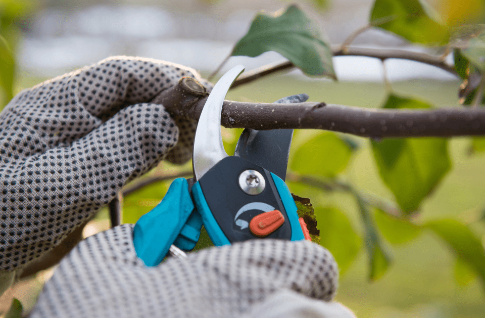 Blue Mountain Grading & Tree Service